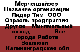 Мерчендайзер › Название организации ­ Лидер Тим, ООО › Отрасль предприятия ­ Другое › Минимальный оклад ­ 20 000 - Все города Работа » Вакансии   . Калининградская обл.,Приморск г.